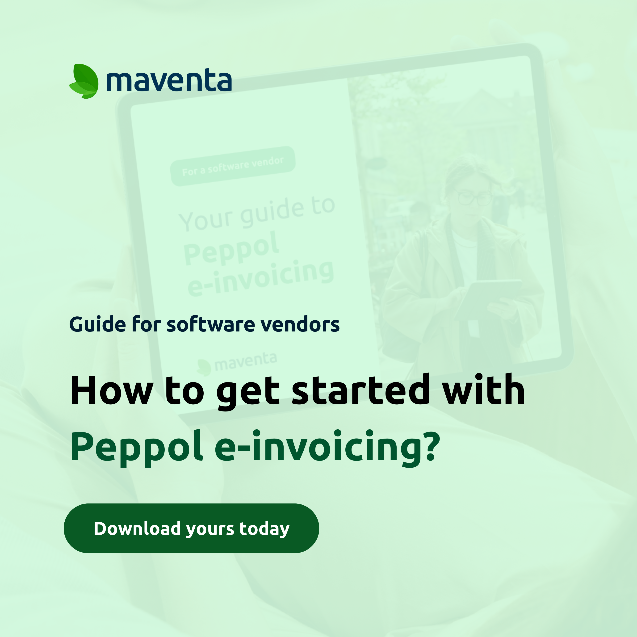 Peppol-guide-visual